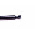 Vérin Hayon de Coffre Pour Ford Transit 1C15V406A10AD 1C15V406A10EA 4346105