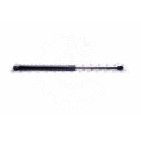 Vérin Hayon de Coffre Pour Honda Accord VIII 74820TL4G31 74820TL4G32