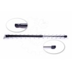 Vérin Hayon de Coffre Pour Honda Civic IX VIII 74820TV0E011M1 74820TV0E111M1