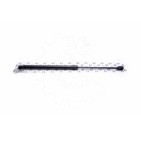 Vérin Hayon de Coffre Pour Hyundai Elantra 817702Y000 817712D210 817712D211