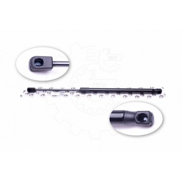 Vérin Hayon de Coffre Pour Hyundai i10 817700X000 817700X001 817700X020