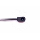 Vérin Hayon de Coffre Pour Hyundai i30 817712R000 817812R000