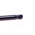Vérin Hayon de Coffre Pour Hyundai i30 817712R000 817812R000