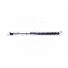 Vérin Hayon de Coffre Pour Hyundai Santa Fé II 817702B000 817702B001