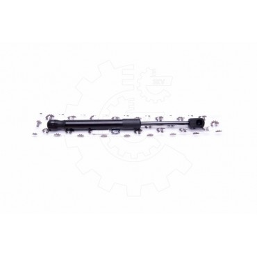 Vérin Hayon de Coffre Pour Nissan Primera Jeep Commander 84430AV600 55396526AB