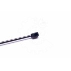 Vérin Hayon de Coffre Pour Jeep Wrangler II 55076310 55076310AB 55076310AD