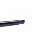 Vérin Hayon de Coffre Pour Kia Carens III Monospace 817701D010 817801D010