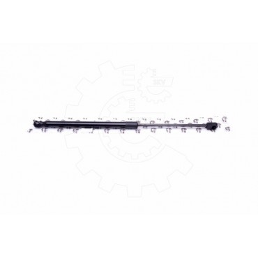 Vérin Hayon de Coffre Pour VW Golf Plus V Kia Carens IV 1K9827550B 81770A4000
