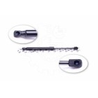 Vérin Hayon de Coffre Pour Kia Cee'D 817701H510 817801H510 817801H511
