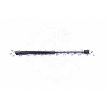 Vérin Hayon de Coffre Pour Kia Cee'D 3/5 Portes 817701H010