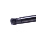 Vérin Hayon de Coffre Pour Kia Picanto 8178007000