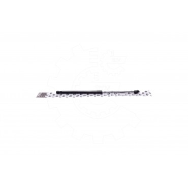 Vérin Hayon de Coffre Pour Lancia Ypsilon 46817935