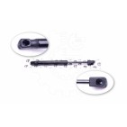 Vérin Hayon de Coffre Pour Mazda 3 A Trois Volumes BN8W56930 BN8W56930A