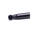 Vérin Hayon de Coffre Pour Mazda Tribute 4095842 EC01626B0C EC01636B0C