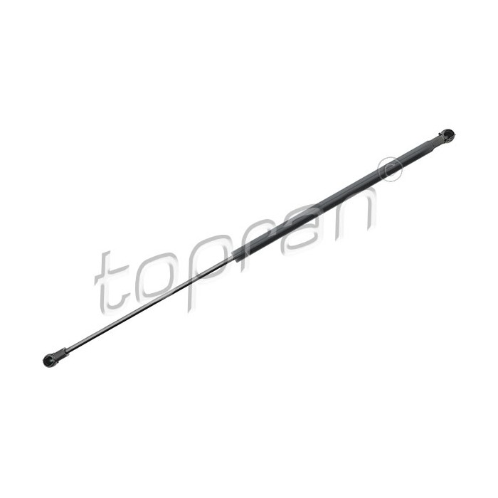 Vérin Hayon de Coffre Pour Mercedes-Benz Classe M GLE 1669801964 1669802064