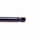 Vérin Hayon de Coffre Pour Mitsubishi Carisma MR101555