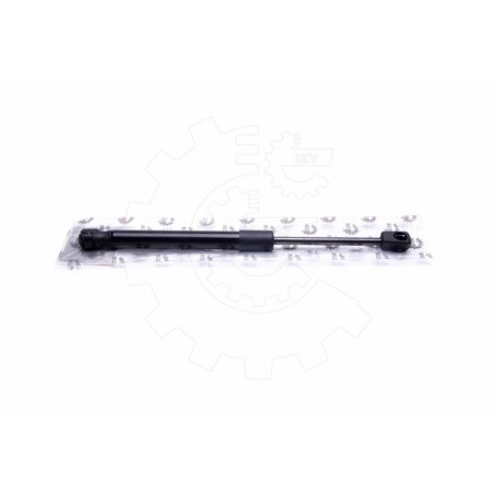 Vérin Hayon de Coffre Pour Mitsubishi Lancer VII VIII 5925A003 5925A004