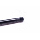 Vérin Hayon de Coffre Pour Mitsubishi Lancer VII VIII 5925A003 5925A004
