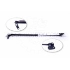 Vérin Hayon de Coffre Pour Nissan Micra I 9045001B00