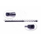 Vérin Hayon de Coffre Pour Nissan Primera 904528F825