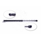 Vérin Hayon de Coffre Pour Nissan Qashqai 904504EA0A 904504EA1A
