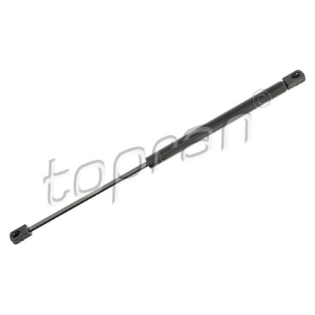 Vérin Hayon de Coffre Pour Peugeot 206 8731F2