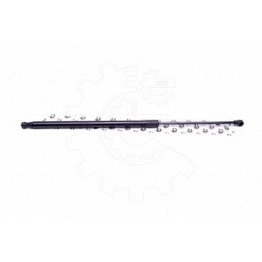 Vérin Hayon de Coffre Pour Peugeot 206 8731G5