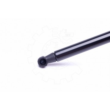 Vérin Hayon de Coffre Pour Peugeot 206 8731G5