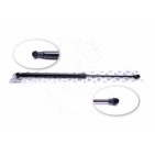 Vérin Hayon de Coffre Pour Peugeot 206 8731G4 96422100801