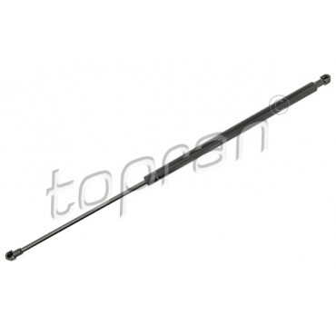 Vérin Hayon de Coffre Pour Peugeot 206 8731G5