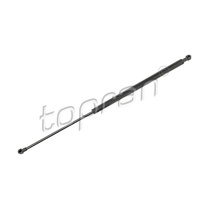 Vérin Hayon de Coffre Pour Peugeot 206 8731G5
