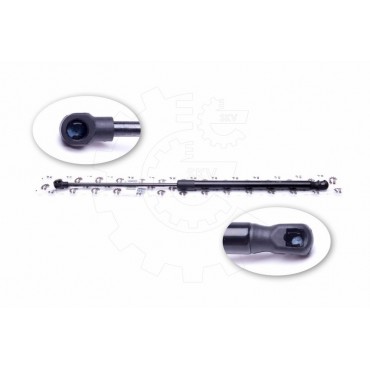Vérin Hayon de Coffre Pour Peugeot 207 8731L7