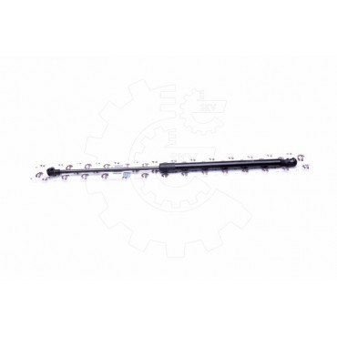 Vérin Hayon de Coffre Pour Peugeot 207 8731L7