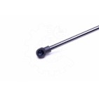 Vérin Hayon de Coffre Pour Peugeot 207 8731L7