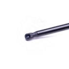 Vérin Hayon de Coffre Pour Peugeot 207 8731L7