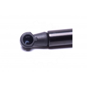 Vérin Hayon de Coffre Pour Peugeot 207 8731N6 8731S7