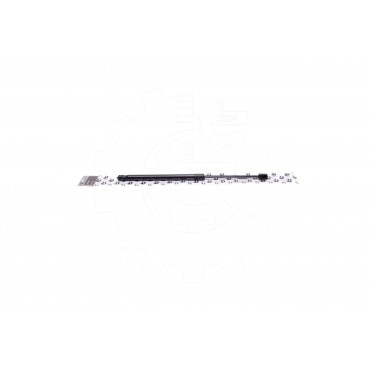 Vérin Hayon de Coffre Pour Peugeot 3008 8731T4