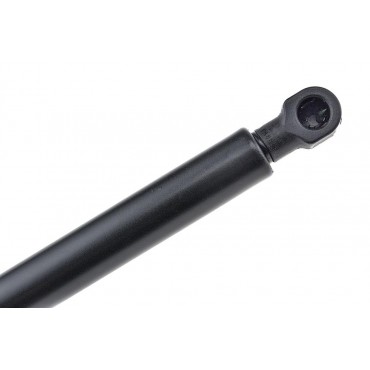 Vérin Hayon de Coffre Pour Peugeot 307 792515