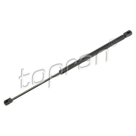 Vérin Hayon de Coffre Pour Peugeot 307 8731F8