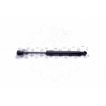 Vérin Hayon de Coffre Pour Peugeot 406 3470400 8731C9 ZU03470400