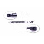 Vérin Hayon de Coffre Pour Peugeot 407 8731J5 8731K4 9656592980