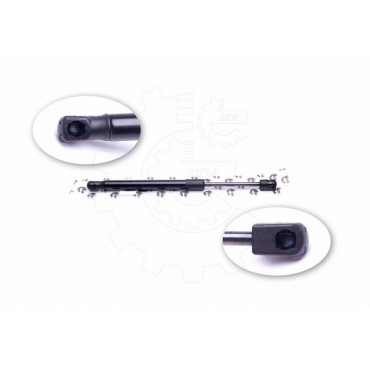 Vérin Hayon de Coffre Pour Peugeot 407 8731J5 8731K4 9656592980