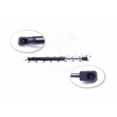 Vérin Hayon de Coffre Pour Peugeot 407 8731J5 8731K4 9656592980