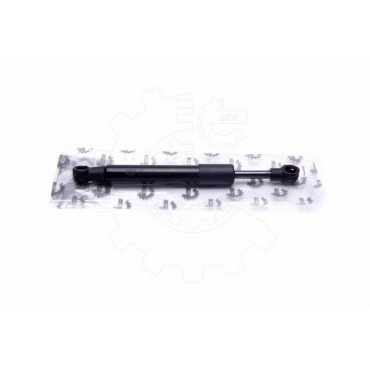 Vérin Hayon de Coffre Pour Porsche Boxster 98751255101 98751255105