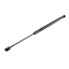 Vérin Hayon de Coffre Pour Renault Clio II IV 7700842256