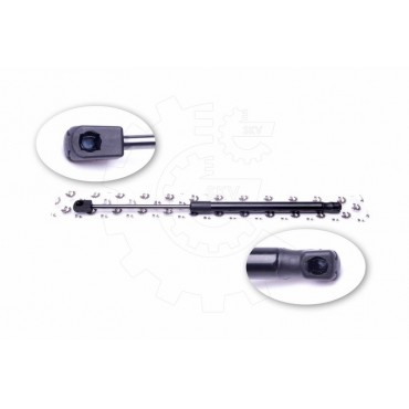 Vérin Hayon de Coffre Pour Renault Clio II 7700842256 8200048867 8455177