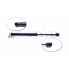 Vérin Hayon de Coffre Pour Renault Clio II 0008455177 7700842256