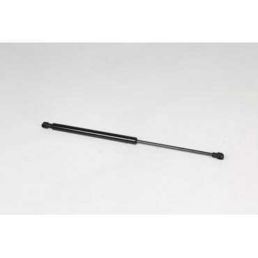 Vérin Hayon de Coffre Pour Renault Clio II III 8200299546
