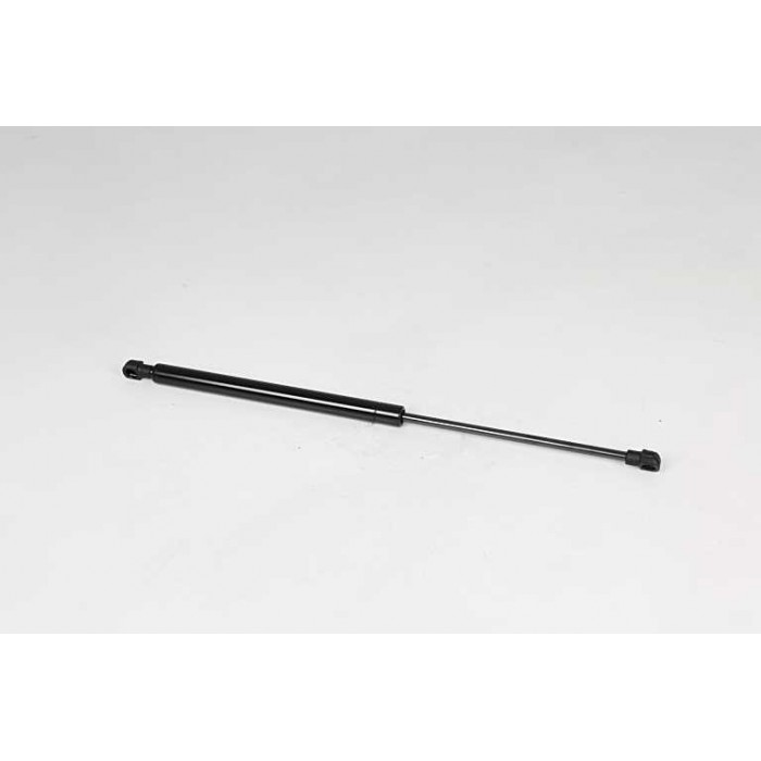 Vérin Hayon de Coffre Pour Renault Clio II III 8200299546