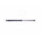 Vérin Hayon de Coffre Pour Renault Clio III 32062565 8200299546